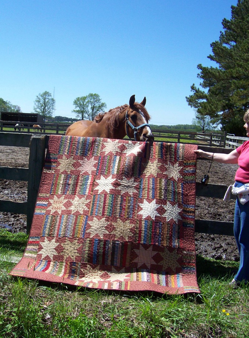 Patchalot More Horsing Around