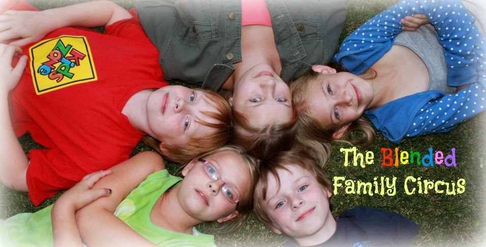 The Blended Family Circus