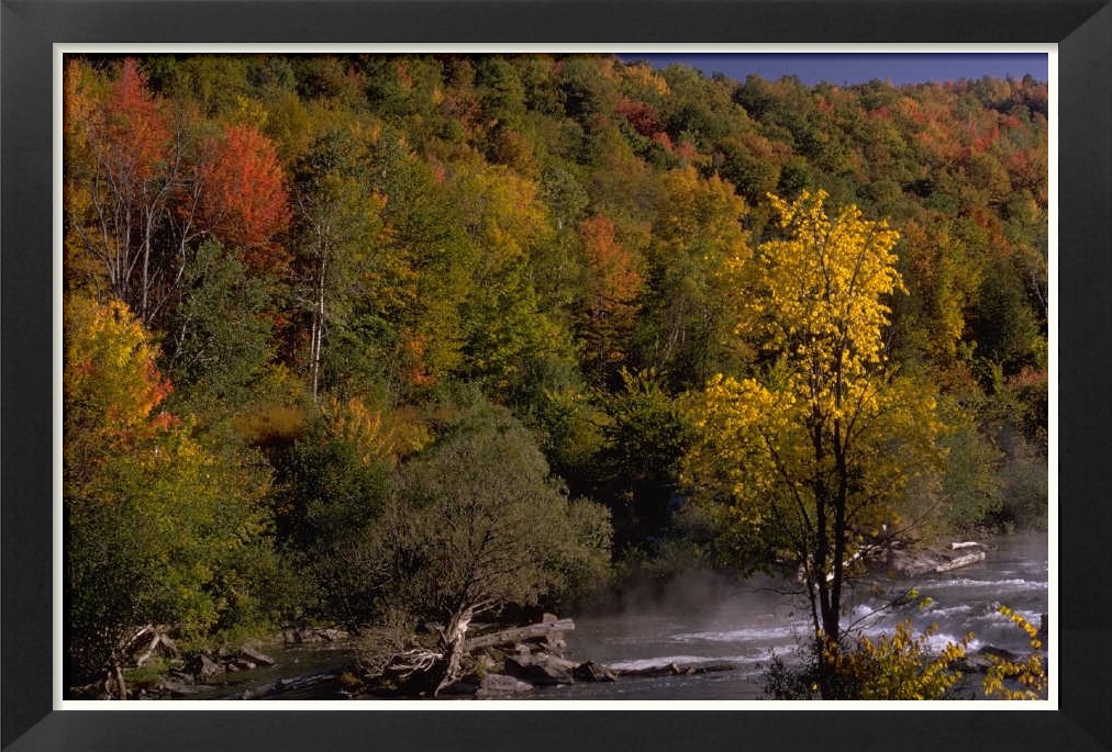 Lengua Originaria Definicion
