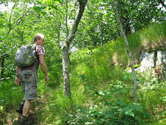 Snake Mountain Near Boone NC