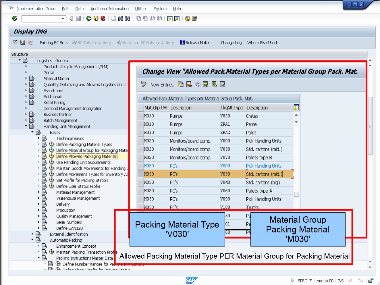 青蛙SAP分享 Froggy's SAP insights LE Packaging Logistics Packing