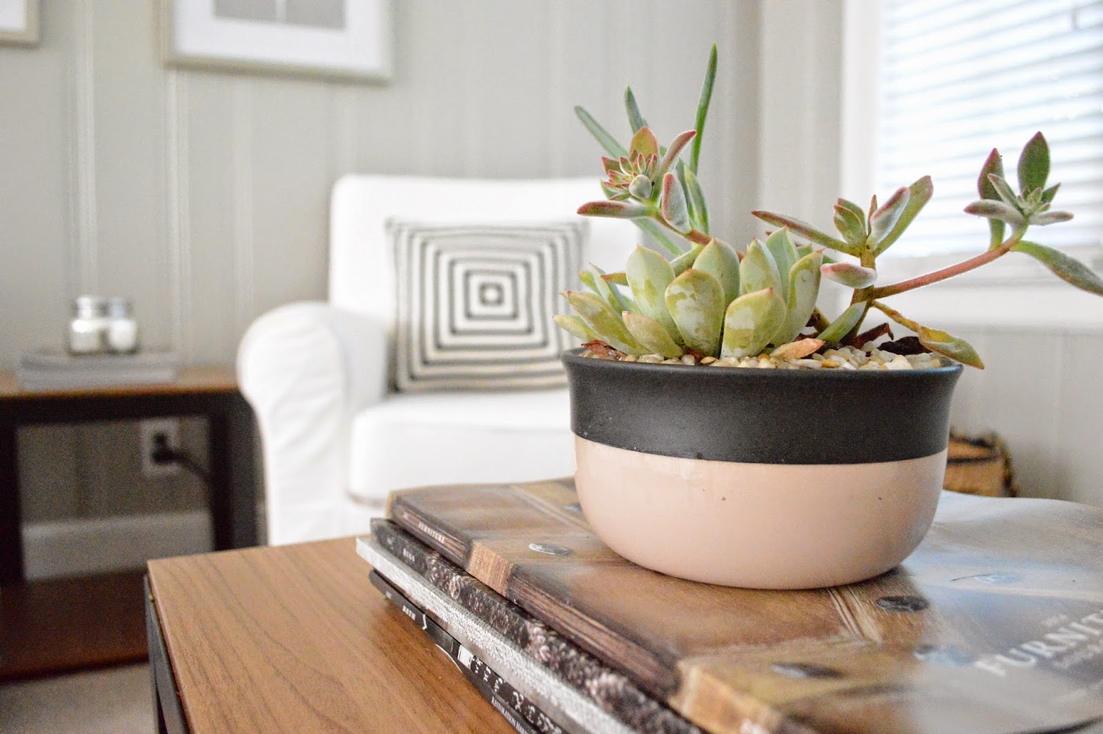 Sylvan Park Life My Favorite Nontoxic Indoor Plants