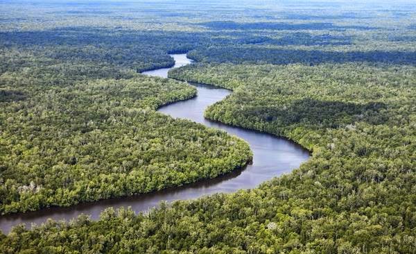 INDONESIA ku: Taman Nasional Sebangau