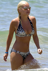 Elisha Cuthbert Bikini