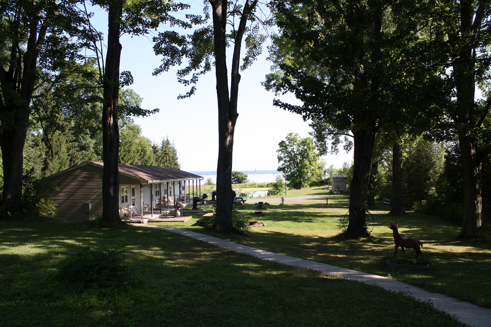 Ribbons and Lines Blueberry Days, Oneida Lake, NY