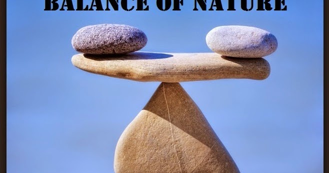Thoughts to Promote Positive Action... Balance of Nature