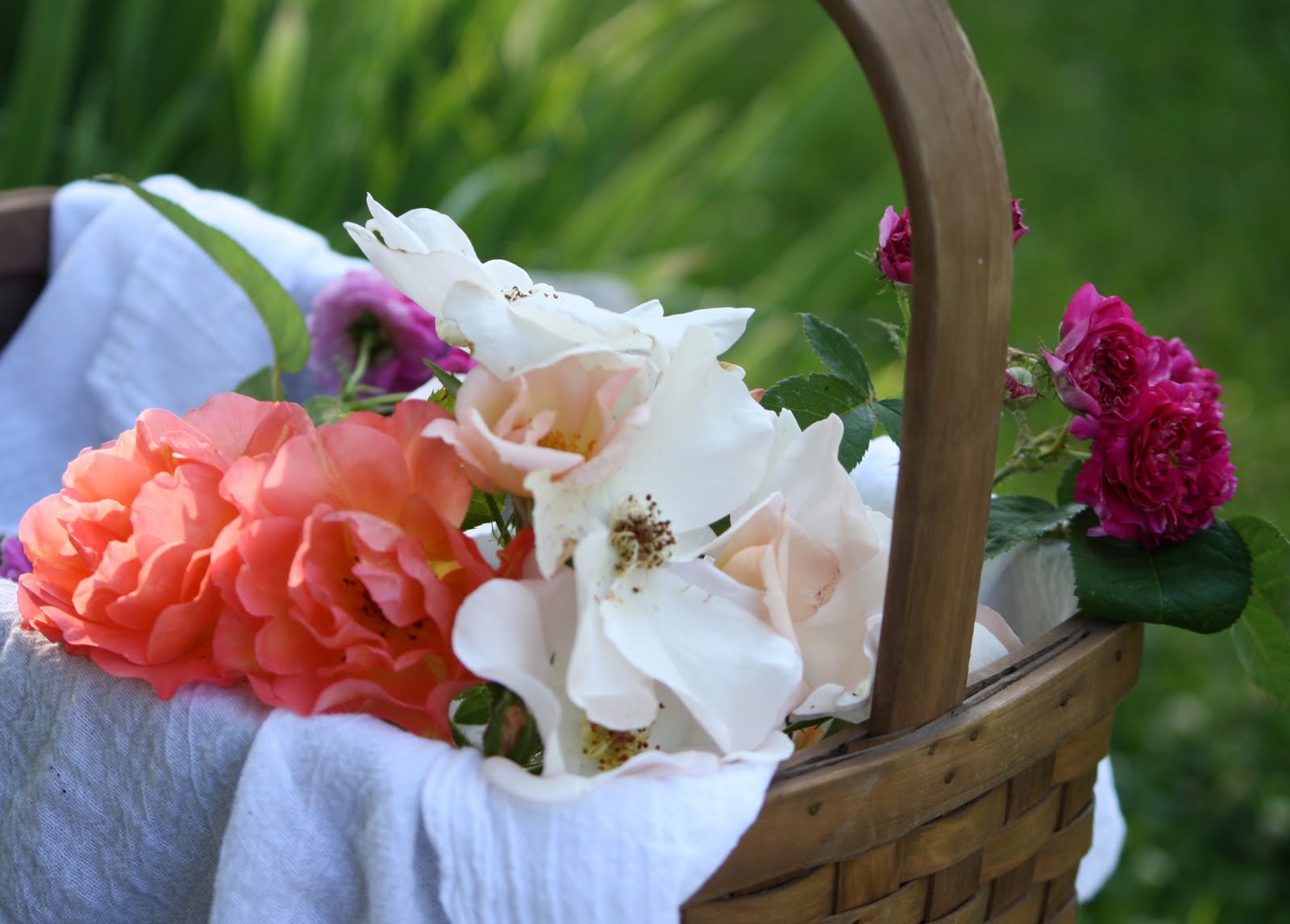 What's Cooking in your World? Day 143! Poland Pączki Polish Donuts