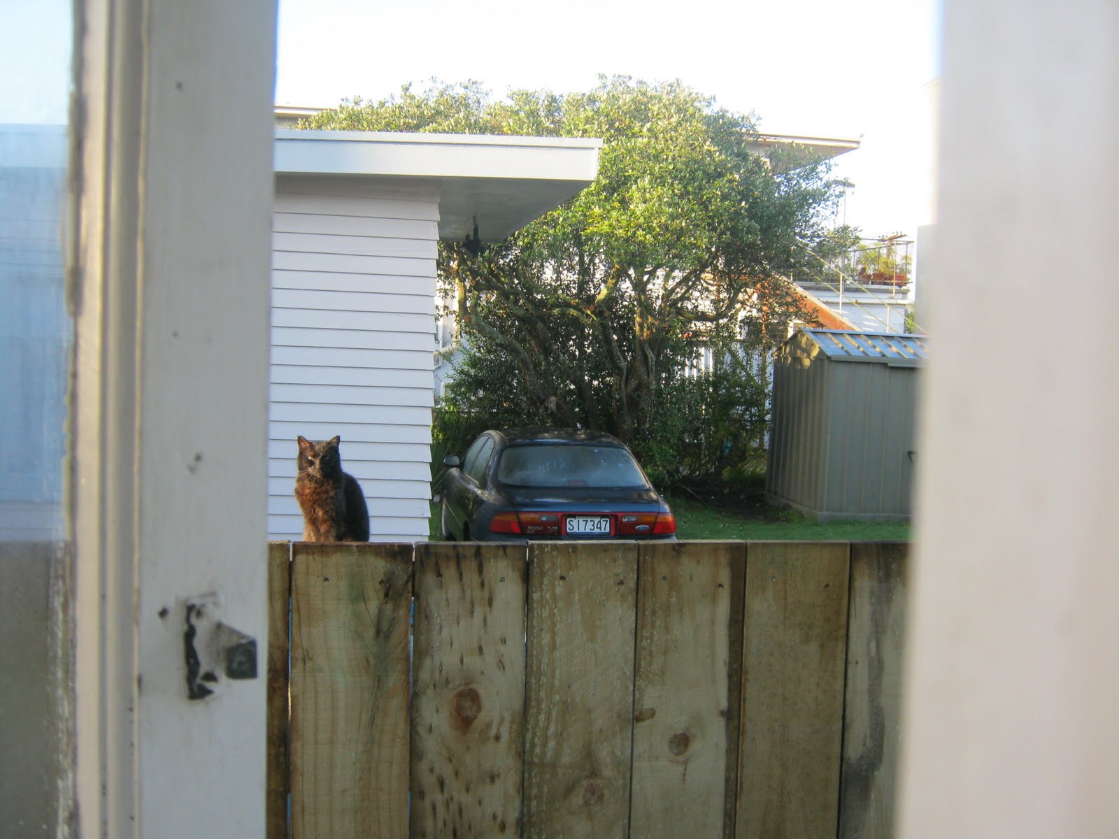 My Walk With Food And Beautiful Plants And Flowers Thursday Theme