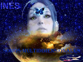 SOMOS MULTIDIMENSIONALES