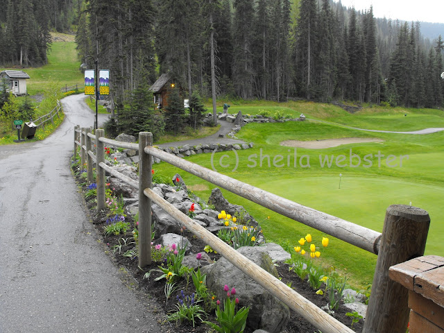 This shows one hold on the golf course that meanders across the mountain.