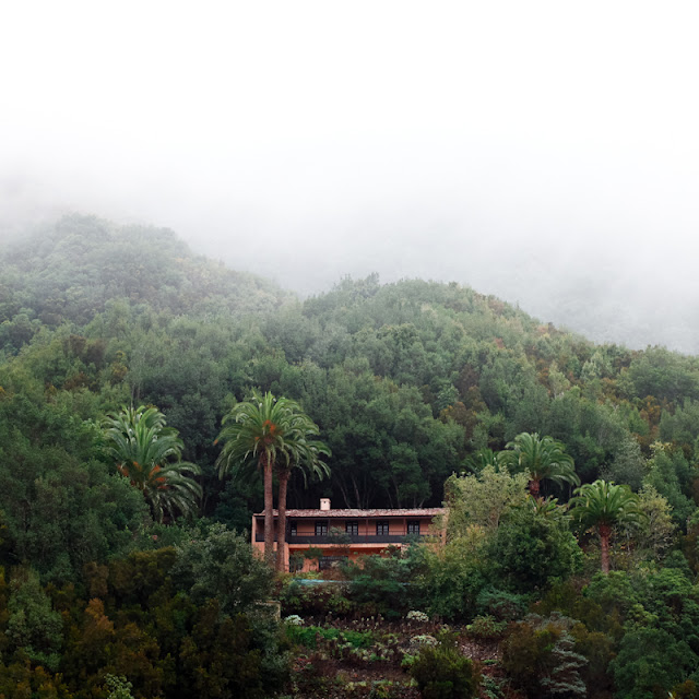 el cedro