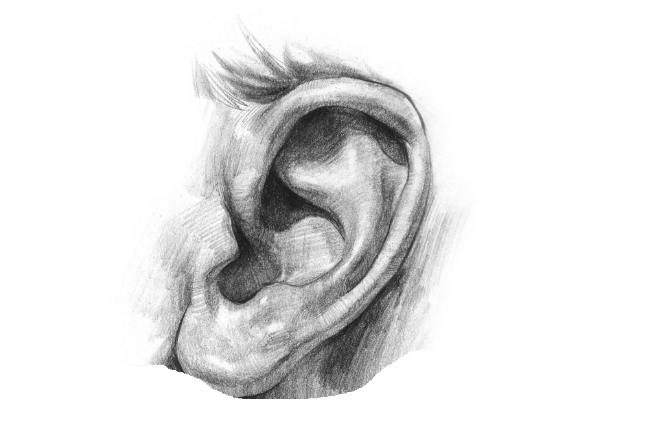 Portrait Tips: Pencil Drawing:Features of face