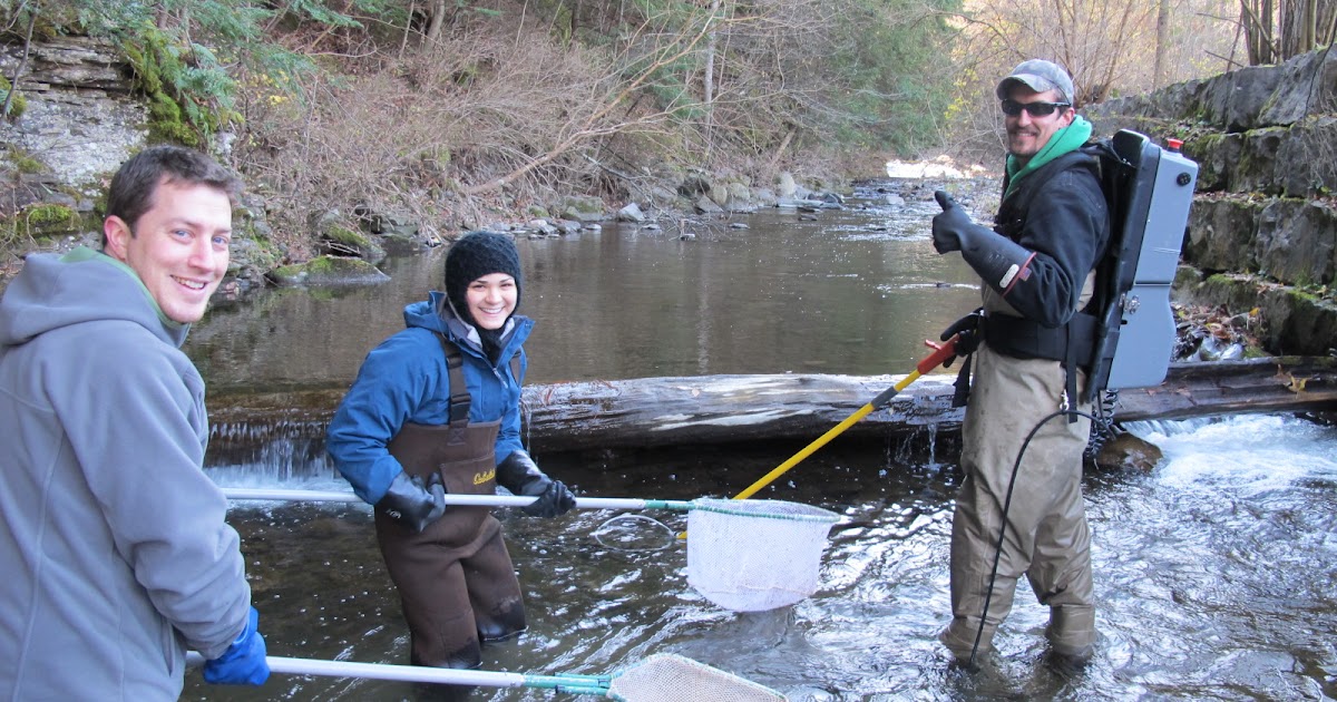 Finger Lakes TROUT In The Classroom NATIVE BROOK TROUT ARE HERE!