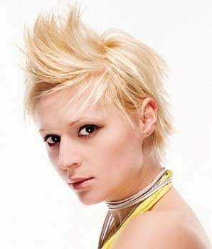 Short Hairstyle Ideas Short Hairstyle Ideas