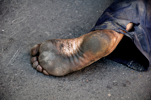 homeless varies Our guide includes information on seven homeless prevention programs for new yorkers varies w/ program homelessness prevention. homeless varies Our guide includes information on seven homeless prevention programs for new yorkers varies w/ program homelessness prevention.