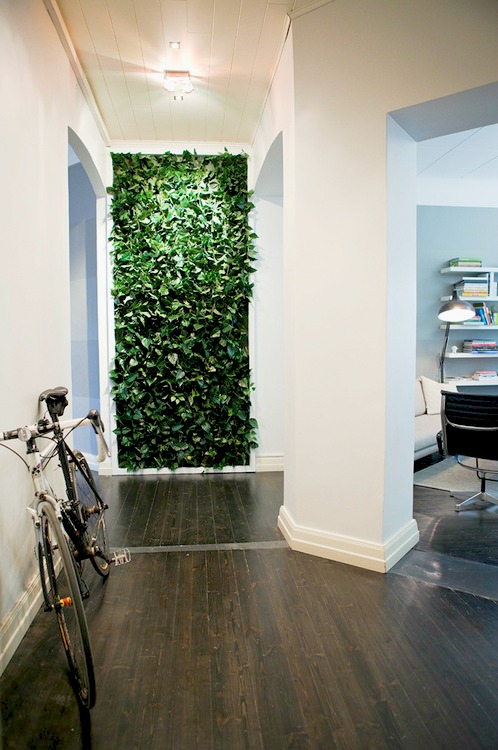 Idehadas Interior Design: PEQUEÑOS JARDINES EN CASA