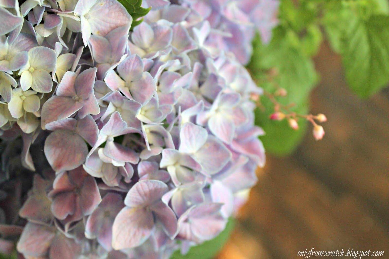 Only From Scratch Beautiful Ways to Arrange Hydrangeas