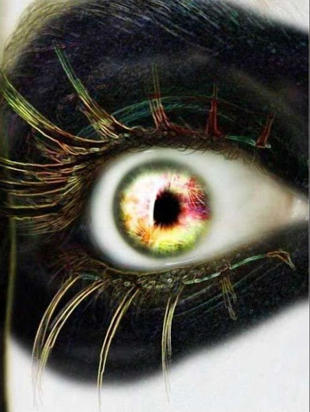 Modern & Stylish Eye Lenses Modern & Stylish Eye Lenses