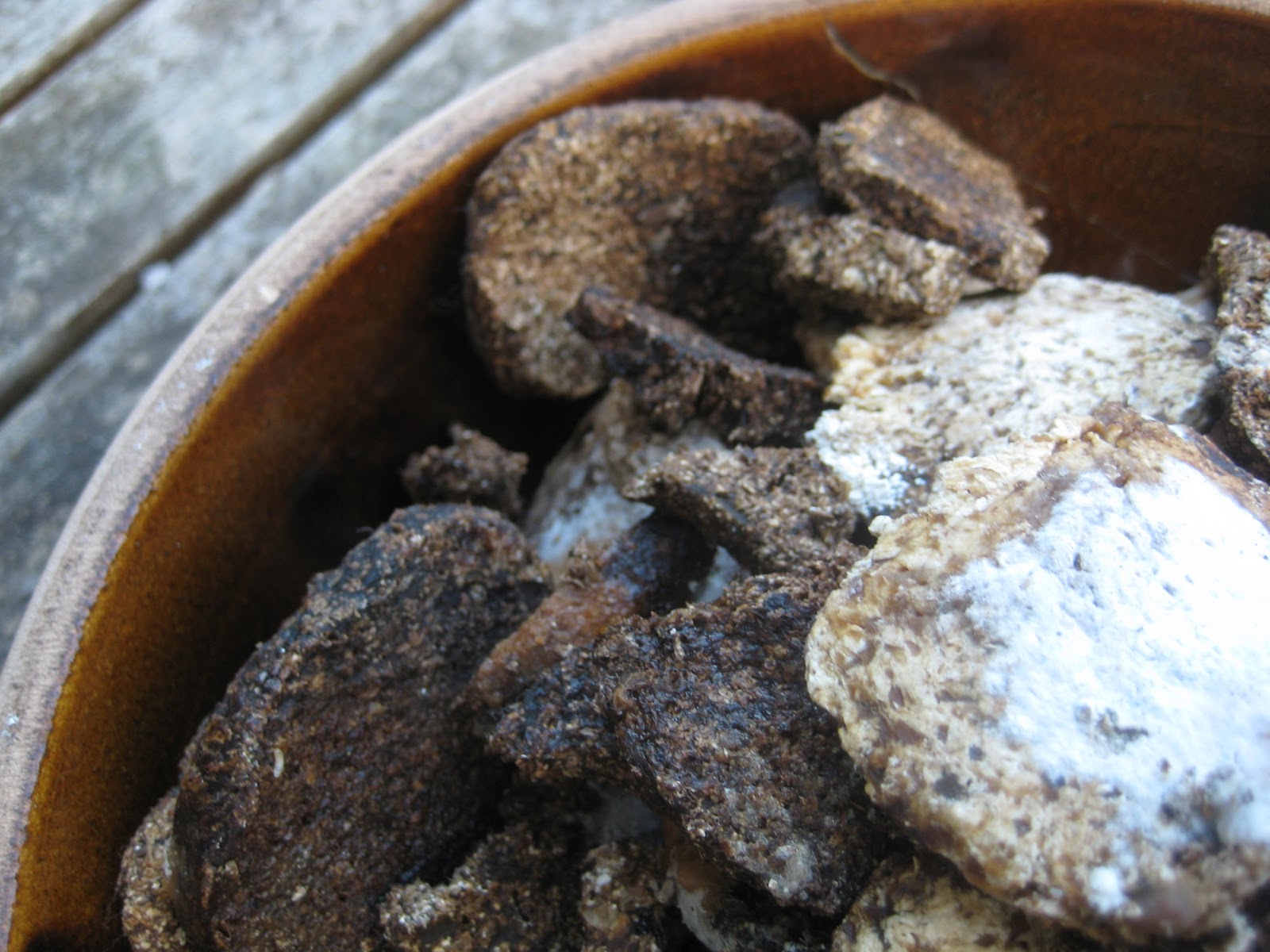 An Offal Experiment Homemade Soy Sauce Part 2