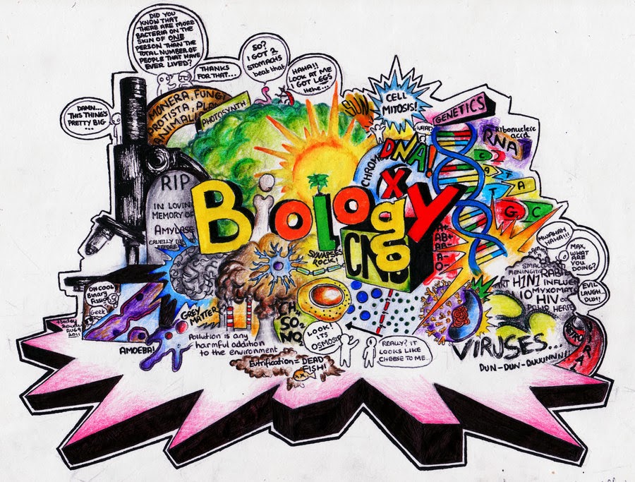 Ringkasan Biologi UN Part 1 Materi SMA Kelas XII