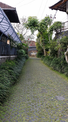 Locales de Ubud Locales de Ubud