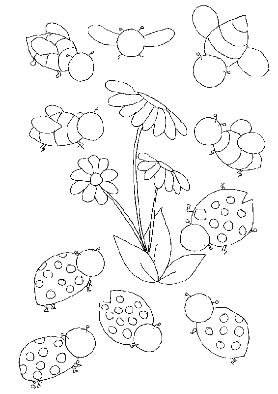 Coloring Pages For Insects - Best Coloring Pages Collections