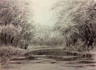 original charcoal sketching of landscape from Bharatpur bird sanctuary by Manju Panchal