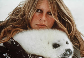 brigitte bardot brigitte bardot