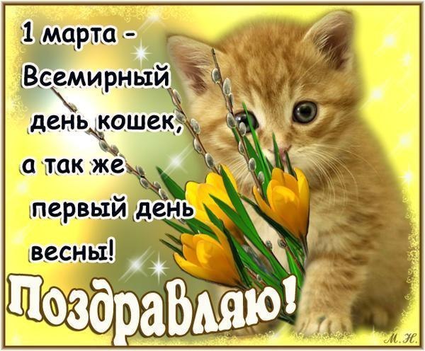 Картинки о котах поздравления с днем рождения Картинки о котах поздравления с днем рождения