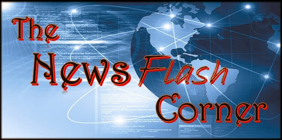The News Flash Corner | What everybody talks about!
