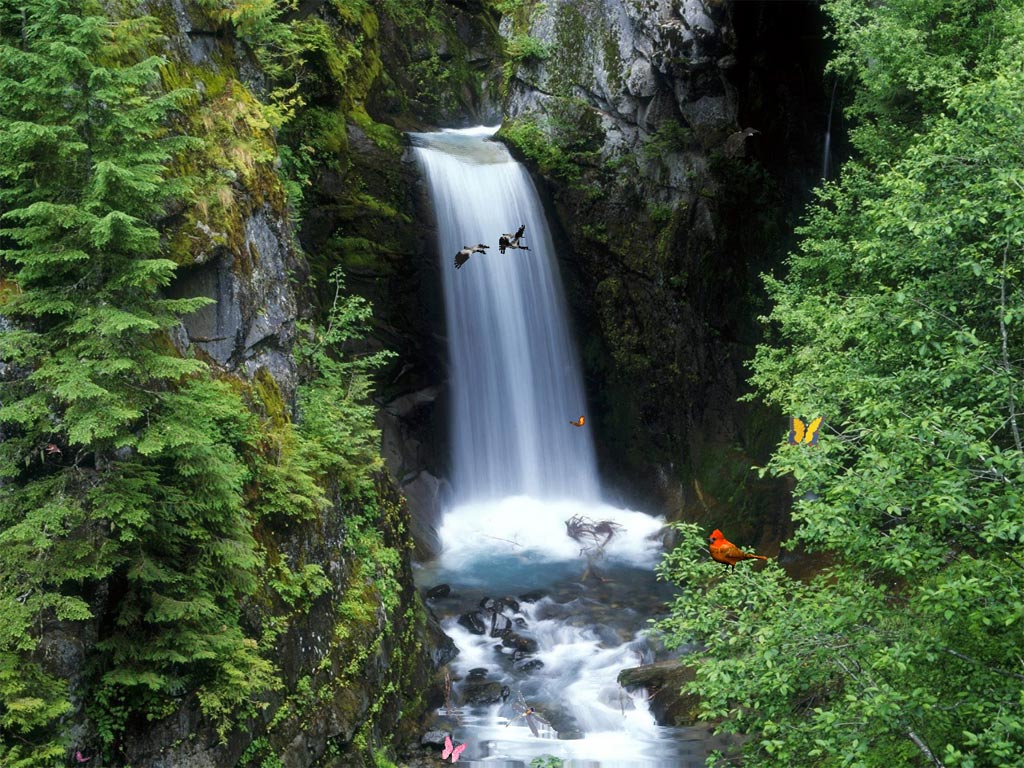 waterfall waterfall