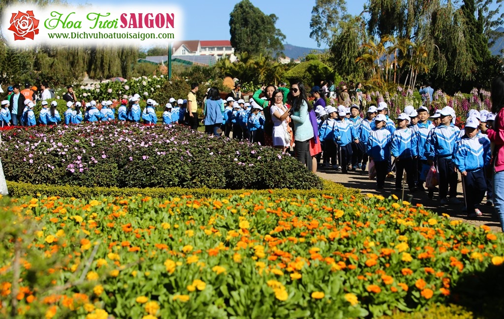 [Image: Nhin-lai-ve-dep-festival-Hoa-Da-Lat-2015-11.jpg]