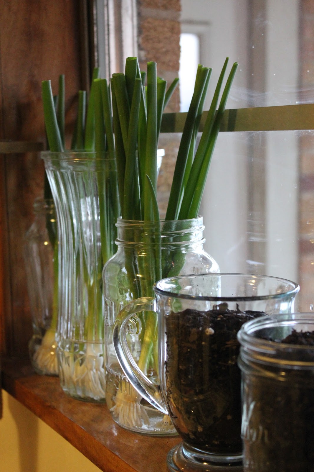A Hint of the Hess House: My Little Herb Garden for the Kitchen Window