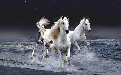 horses14.jpg