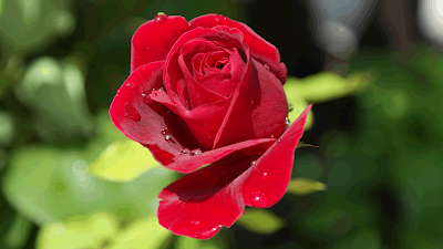 Inlovewith Page 29 Chan 32747948 Rssing Com