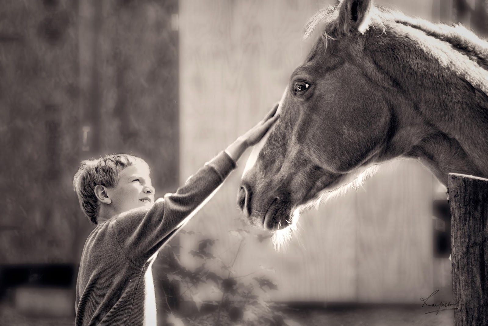 √ حصان مع طفل لطيفين خلفية عالية الدقة لأجهزة سطح المكتب