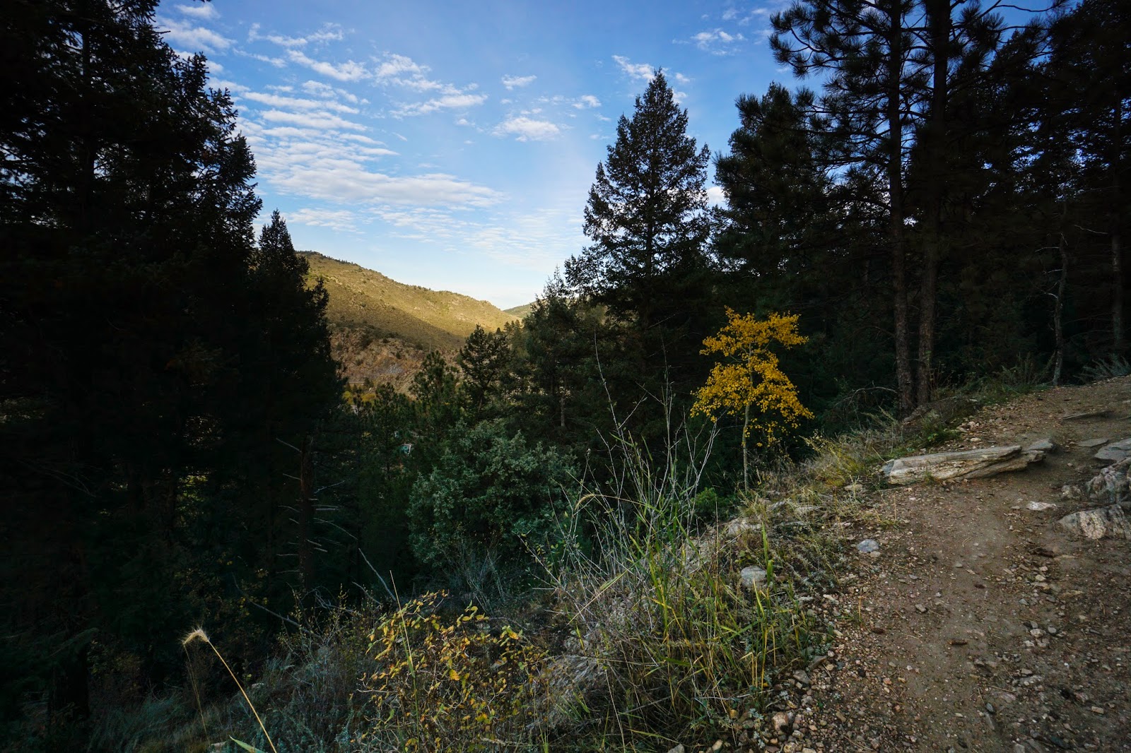 Go Hike Colorado: Bear Creek Trail to Panorama Point ...
