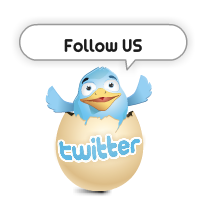 Twitter flaş butonu follow me