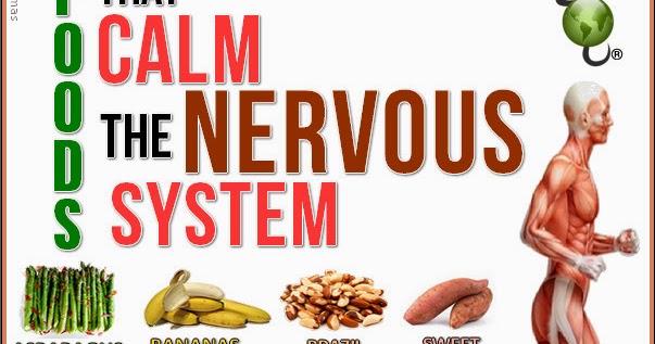 Natural Remedies To Calm The Nervous System Natural Remedies To Calm The Nervous System