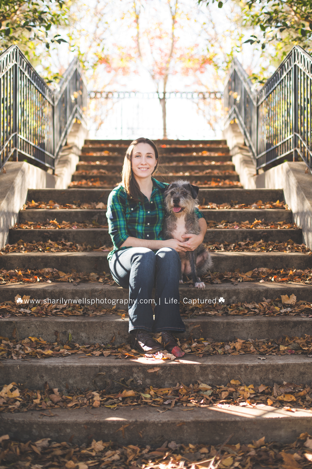 Sharilyn Wells Photography Colorful Puppy Love Pet Fayetteville