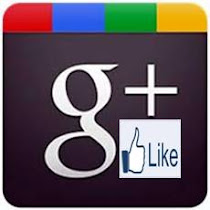 GOOGLE +