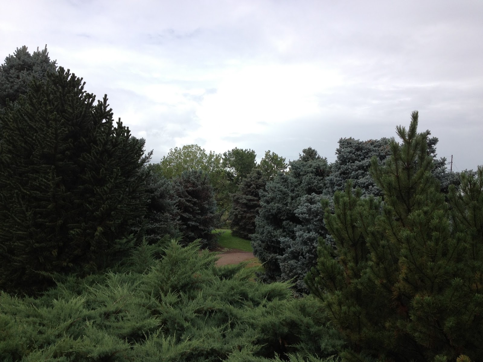 Take A Break Hudson Gardens, Littleton, Colorado