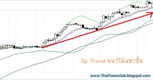 Forex thailand club