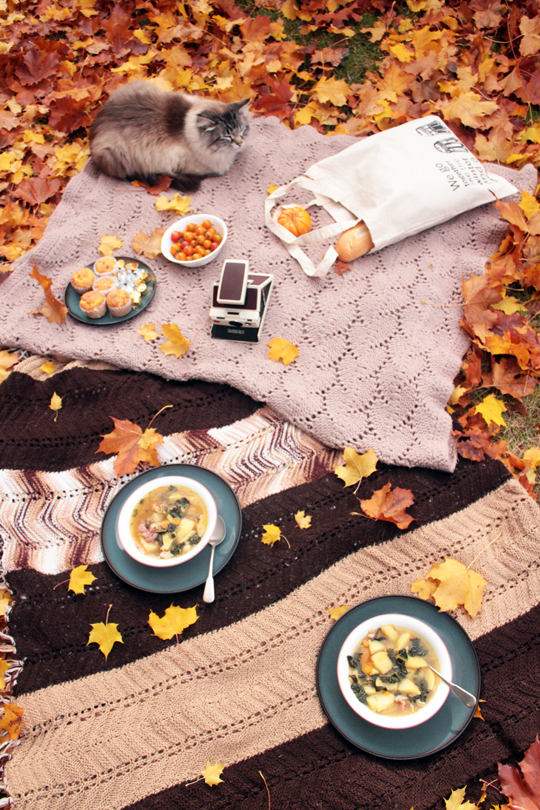 picnic lunch in the yard Lublyou