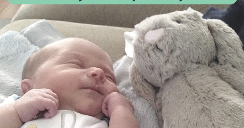 monogrammed jellycat bunny