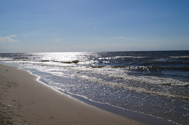 DSC02164.JPG