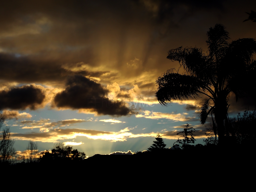 Misc Nature Photo's Thread - Page 39 Arvo+sky+003