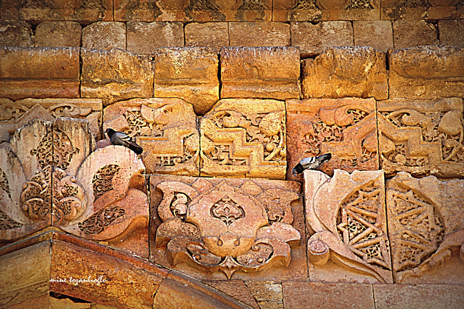 minetozanlioglu blogspot com