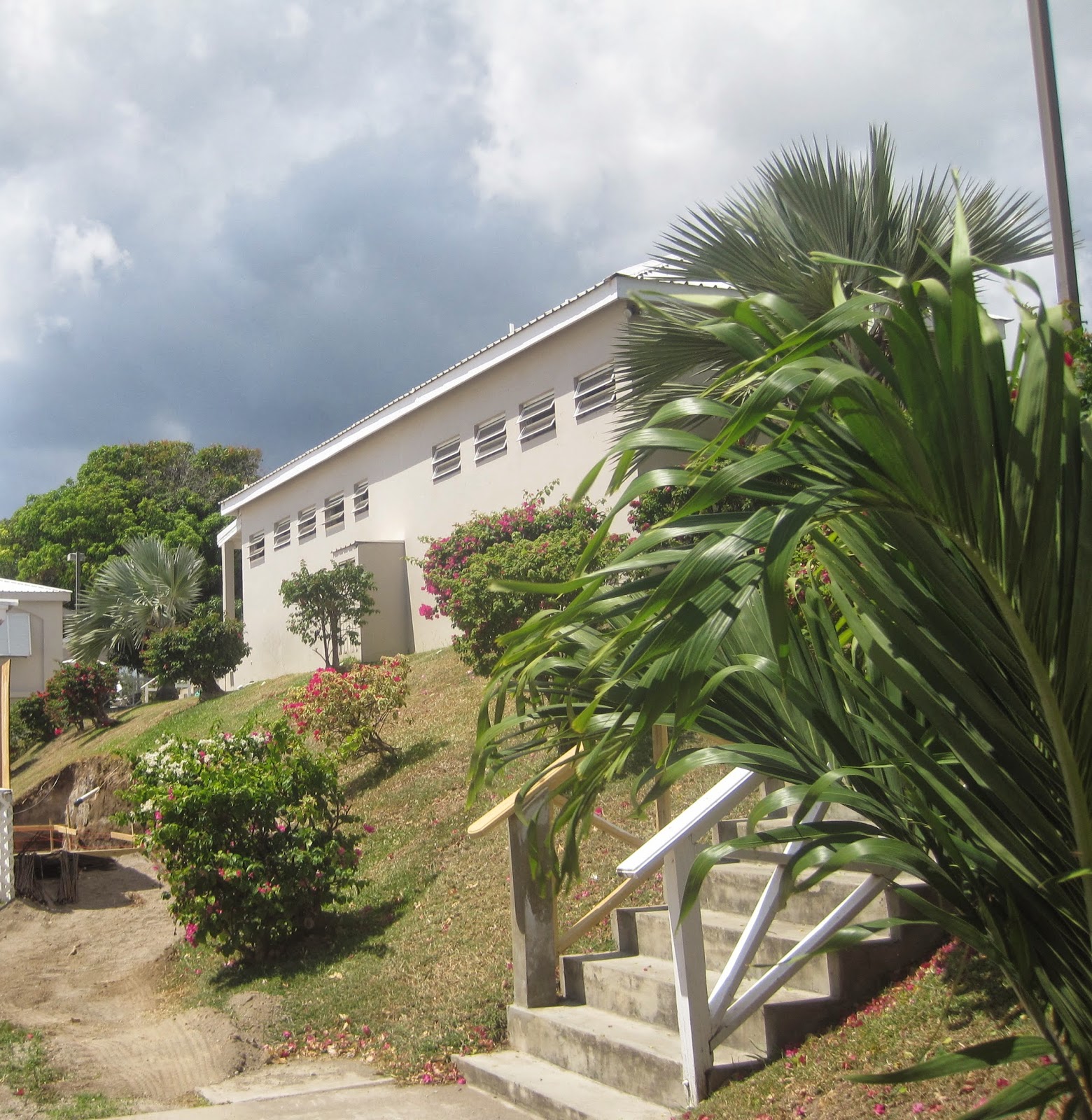 InVeST 2014 Ross University, St Kitts Veterinary Simulator Industries