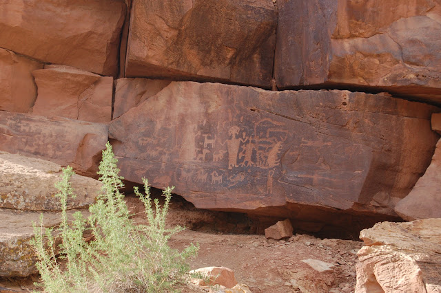 Medicine Man, Laying Figure, and Large Herd of Animals on this Petroglyph Panel in Nine Mile Canyon Utah